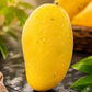 Premium Multani White Chaunsa Mangoes | Farm Fresh & Export Quality Mangoes