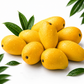 Premium Multani White Chaunsa Mangoes | Farm Fresh & Export Quality Mangoes