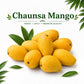 Premium Multani White Chaunsa Mangoes | Farm Fresh & Export Quality Mangoes