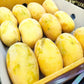 Premium Multani White Chaunsa Mangoes | Farm Fresh & Export Quality Mangoes