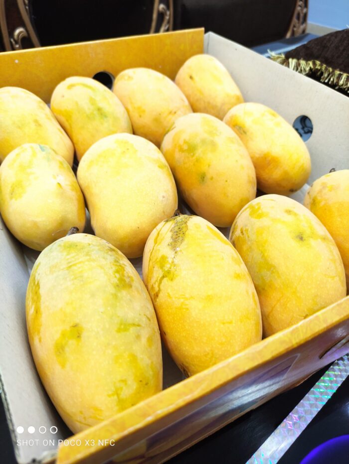 Premium Multani White Chaunsa Mangoes | Farm Fresh & Export Quality Mangoes